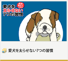 愛犬を太らせない７つの習慣