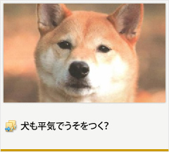 犬も平気でうそをつく？