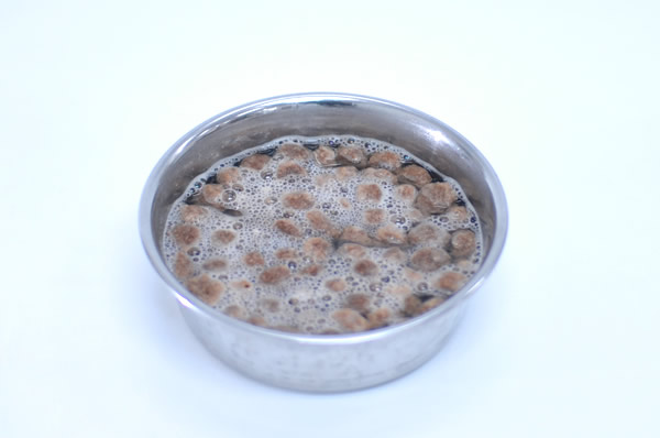 ドライフードにお湯をかける