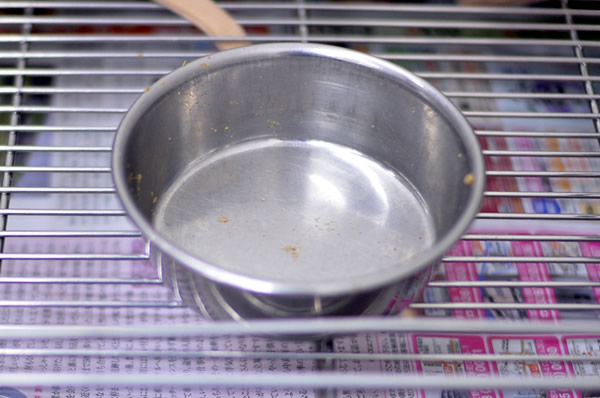 ドライフードにお湯をかける