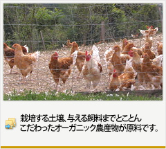 栽培する土壌、与える飼料まで
とことんこだわったオーガニック
農産物が原料です。