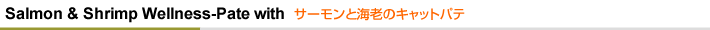 T[ƊCṼLbgpe