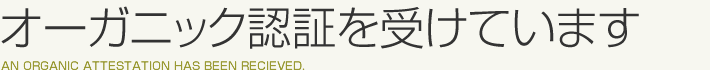 [̃hbOt[h