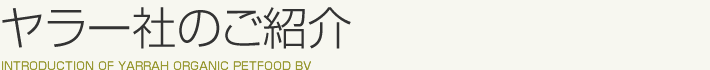 [̃hbOt[h