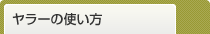 [̎g