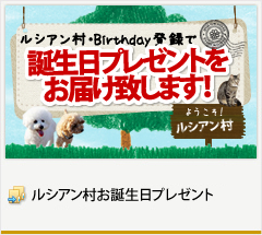 ルシアン村お誕生日プレゼント